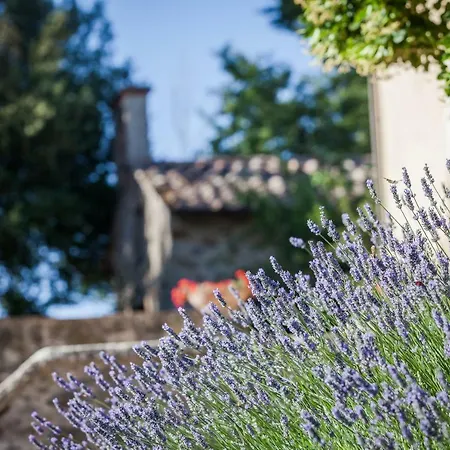 Villa Fibbino - Hotel Di Campagna-2